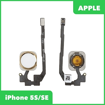 Шлейф, FLC для телефона Apple iPhone 5S, SE с кнопкой HOME, золотой